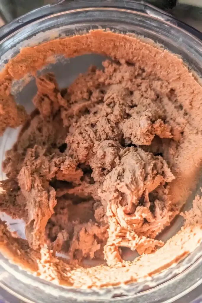 the spun nutella mocha ice cream