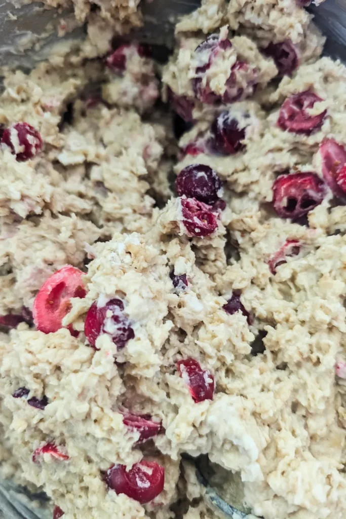 completely mixed oatmeal cranberry muffin batter