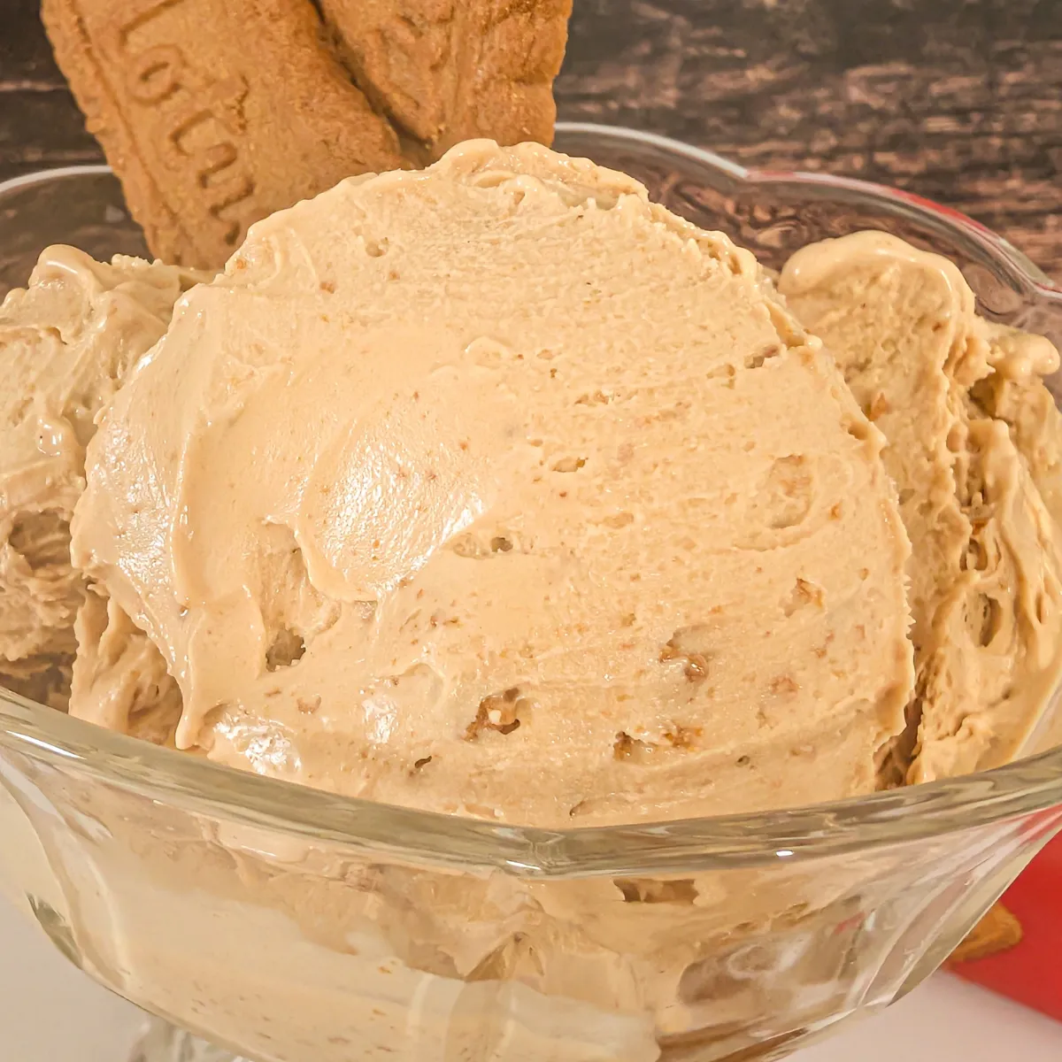 easy Biscoff cookie ice cream ninja creami recipe in fancy glass dessert cup