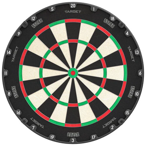 Aspar Professional Dartboard