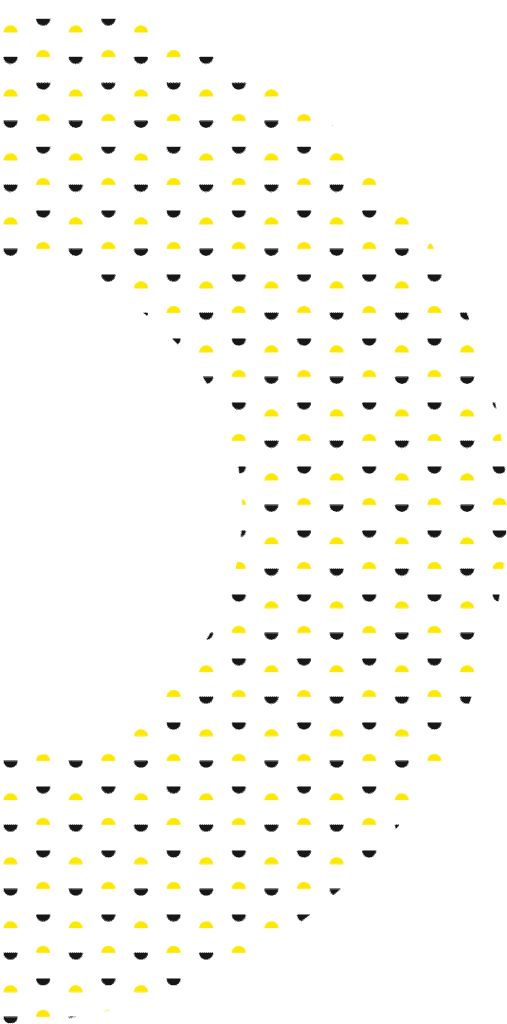 Charte graphique Demi-sel