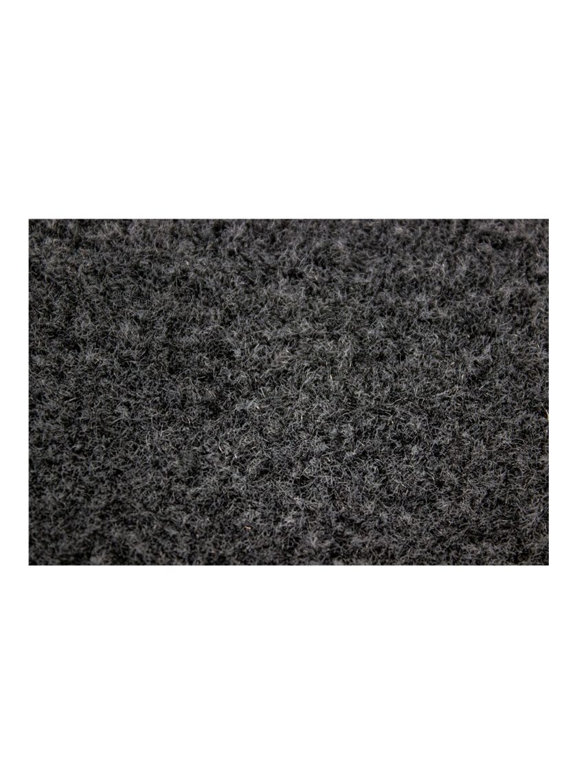 Dib 0004 zoom secado.jpg