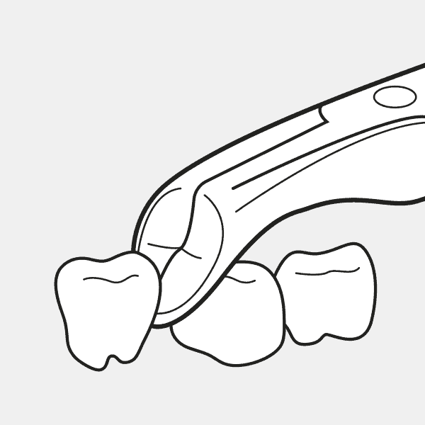Forcep 3ros. inferiores largo - Imagen 4