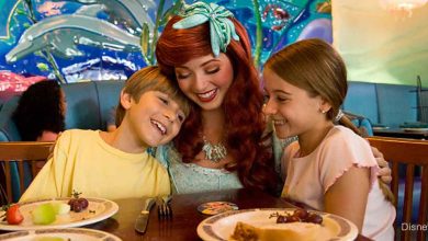 Ariel's Grotto