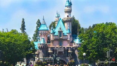Disneyland Castle