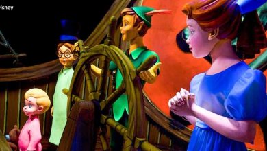 Flight Of Peter Pan