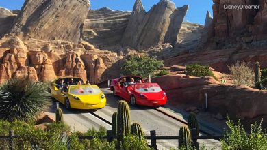 Radiator Springs Racers