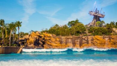 Disney's Typhoon Lagoon
