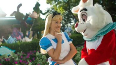 Alice and White Rabbit