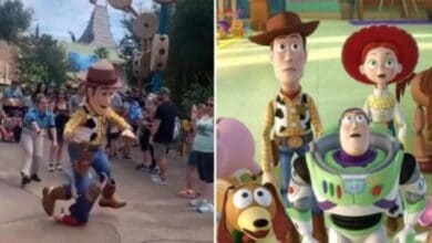 Disney character incident