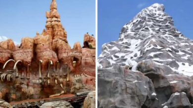 Disneyland Mountains