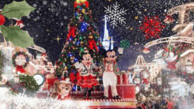 Magic Kingdom Christmas