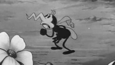 Disney mosquitoes