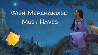 Disney Wish Merchandise