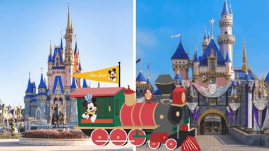 Cinderella and Sleeping Beauty Castle