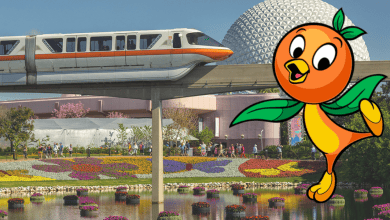 Orange Bird and EPCOT