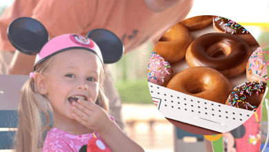 A smiling child wearing Mickey Mouse ears enjoys a moment outdoors. A circle inset shows a box of the Mickey Mouse Donut Collection, including glazed donuts and ones with colorful sprinkles. The child appears delighted, adding to the cheerful atmosphere.