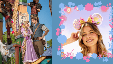 Left side: Several performers in medieval attire, including Rapunzel and Flynn Rider, stand on a colorful stage with a "Wanted" poster in the background. Right side: A smiling woman wears pastel Mickey Mouse ear headbands adorned with Tangled-themed details, surrounded by a floral border on a blue background.