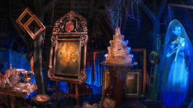 A dusty, dimly lit attic filled with antique items, including picture frames, a large ornate portrait, and an old cake from the Haunted Mansion Kitchen Collection. To the right, a ghostly blue figure of a woman in a long dress hovers, adding an eerie element to the scene. Cobwebs hang from the ceiling.