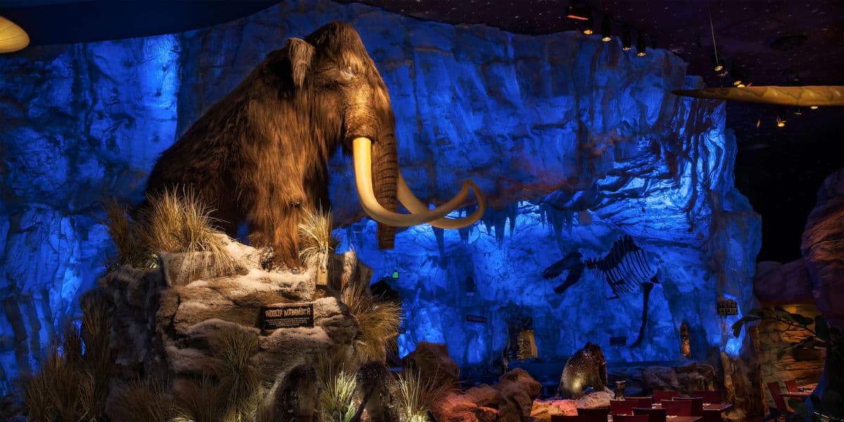 A dimly lit room with a life-sized woolly mammoth display, surrounded by cool blue-lit rocky walls. The setting resembles a prehistoric scene with scattered vegetation and fossil replicas on the rocks.