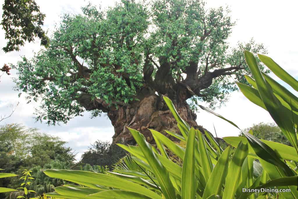 Tree of Life