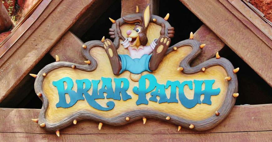 splash-mountain-disney
