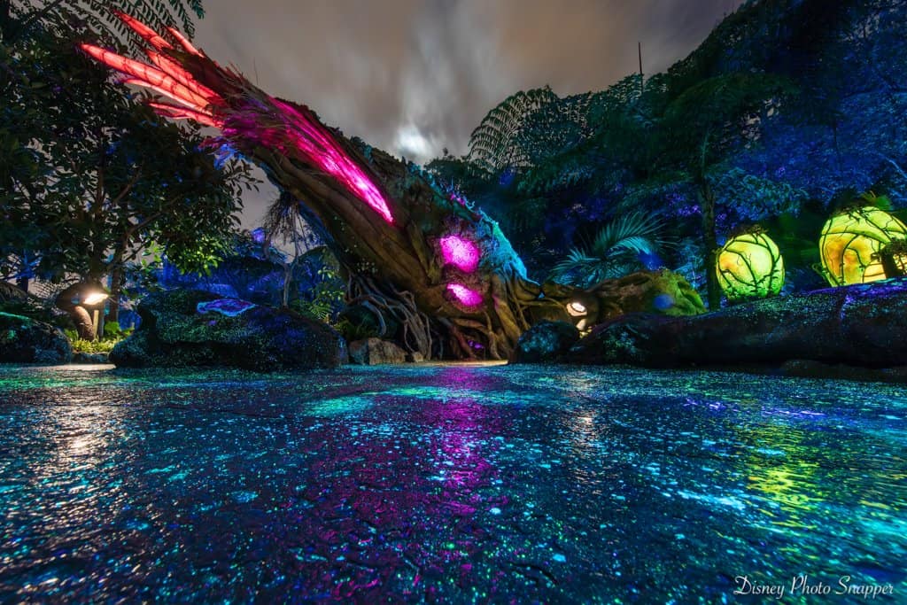 pandora