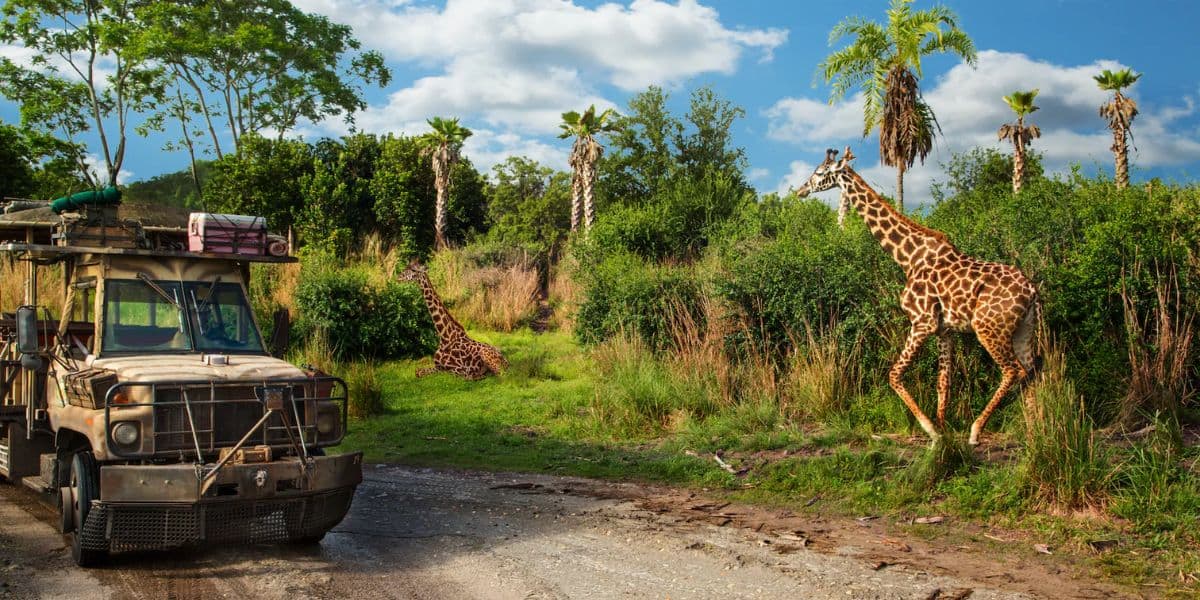 A safari vehicle on a dirt road passes two giraffes, one standing and another lying in lush green grass. Tall trees and a partly cloudy sky create a vibrant background.