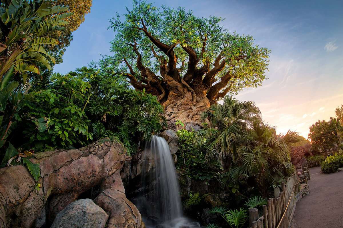 tree-life