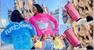 Disney Princess Half Marathon Weekend
