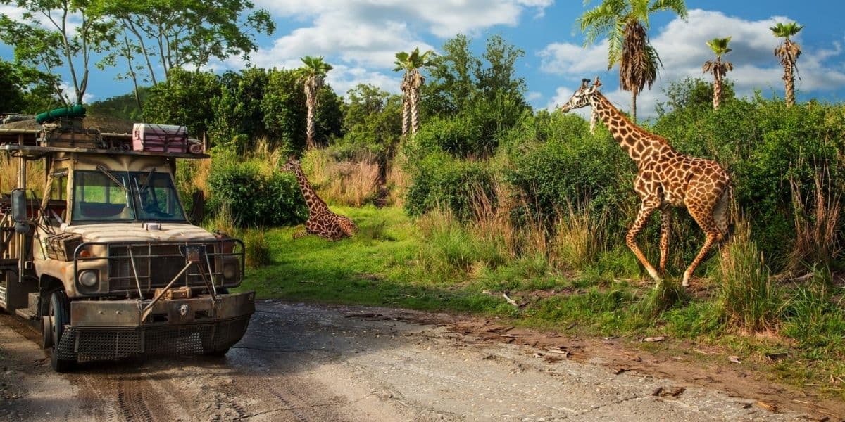 kilimanjaro-safari-giraffe