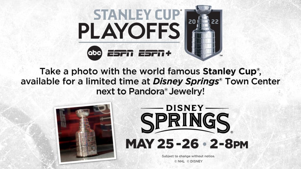 Disney Springs Stanley Cup details