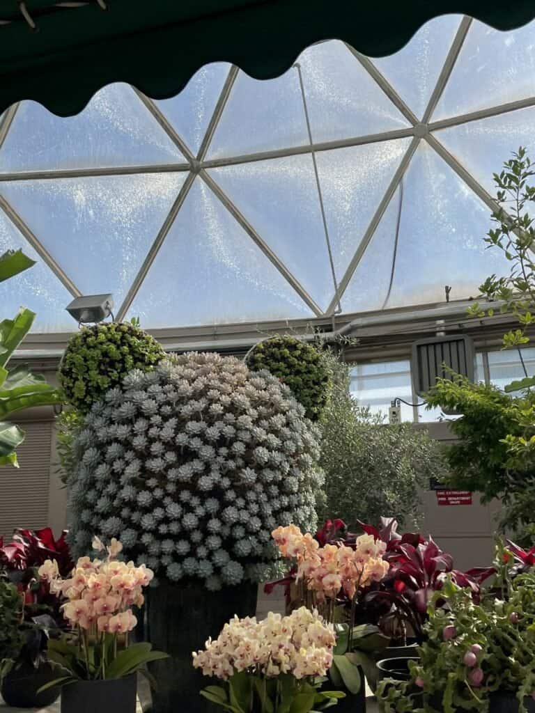 living-with-the-land-hidden-mickey