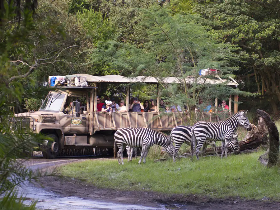 Kilimanjaro Safaris