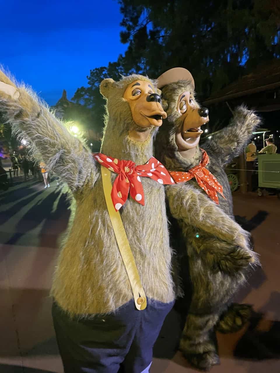 country-bears
