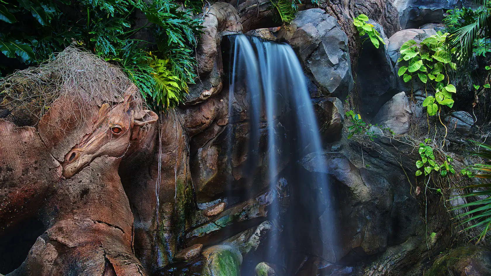 animal kingdom