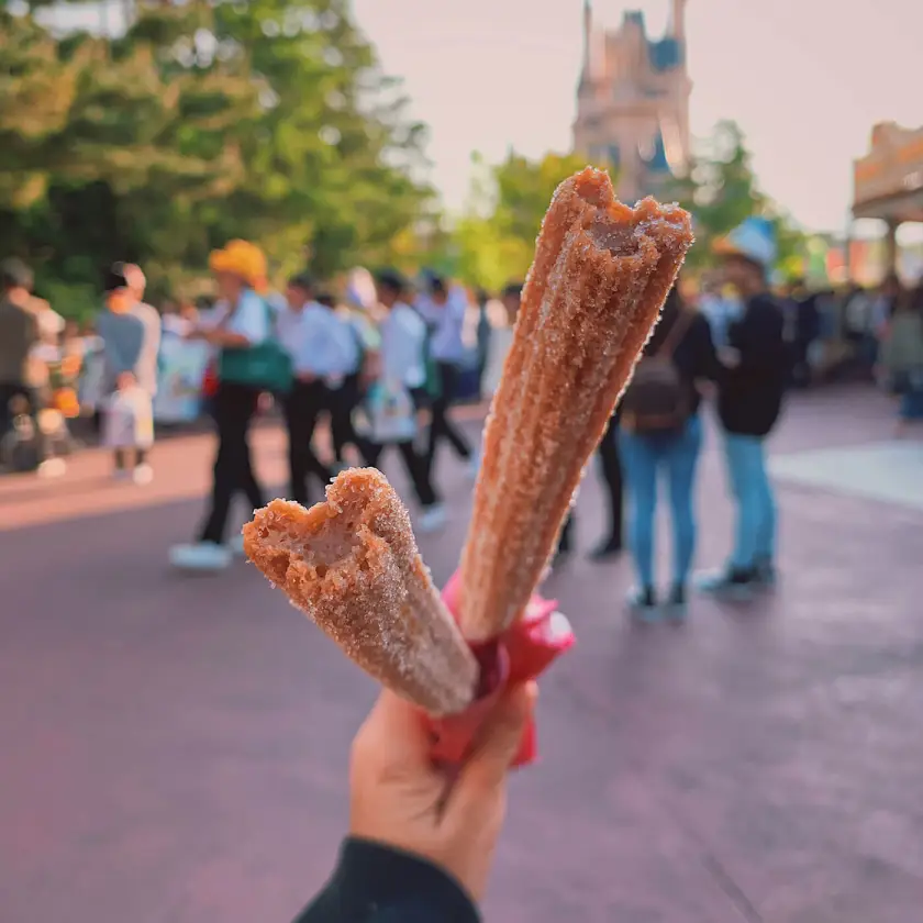 Tokyo Disney Churro