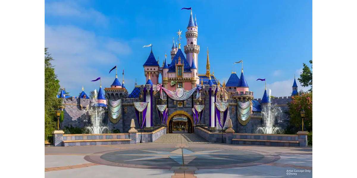 Sleeping Beauty Castle Disney100 Decorations