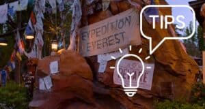 A rocky outdoor scene with a sign reading "Expedition Everest" stands against colorful flags and lanterns. A large speech bubble displays "TIPS," enhanced by an illuminated light bulb, offering Hints & Hacks for Your Animal Kingdom Day.