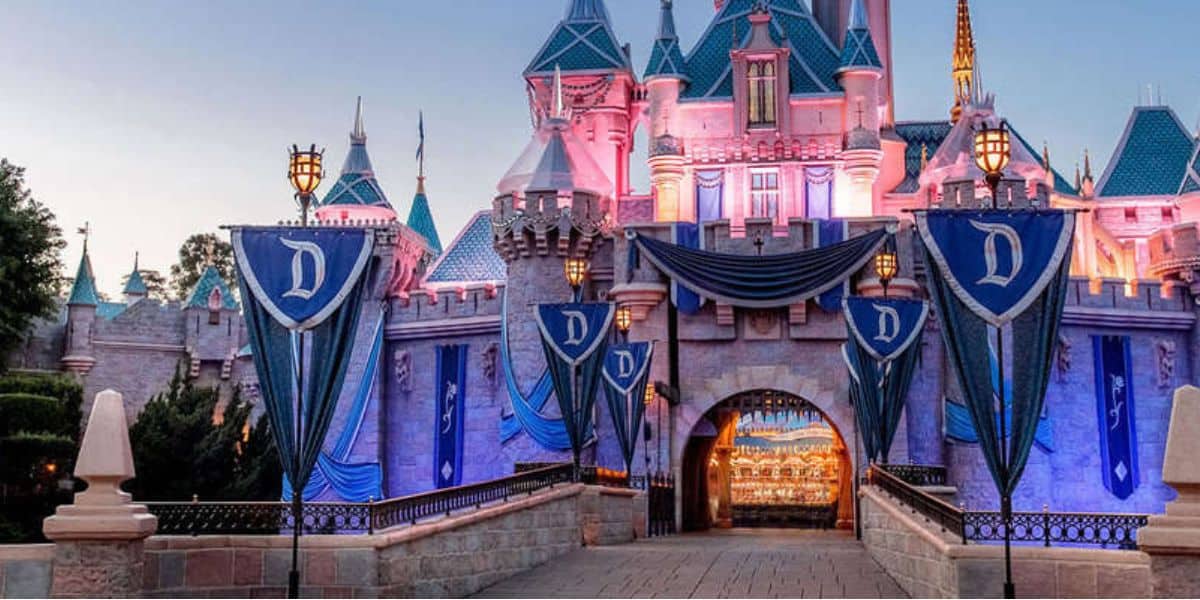 Sleeping beauty Castle