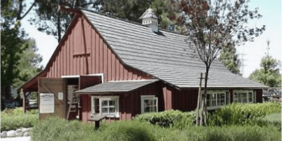 Walt's Barn