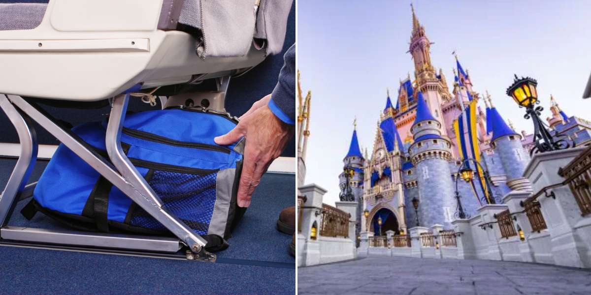 Carry-on bag with Cinderella Castle feature