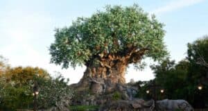 Tree of Life