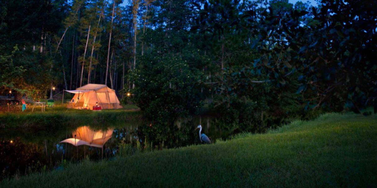 A serene campsite at dusk features a lit tent near a calm river with trees in the background. A heron stands on the riverbank, and the water reflects the tent and surrounding nature, creating a peaceful scene reminiscent of discovering unknown to-dos at Disney World.
