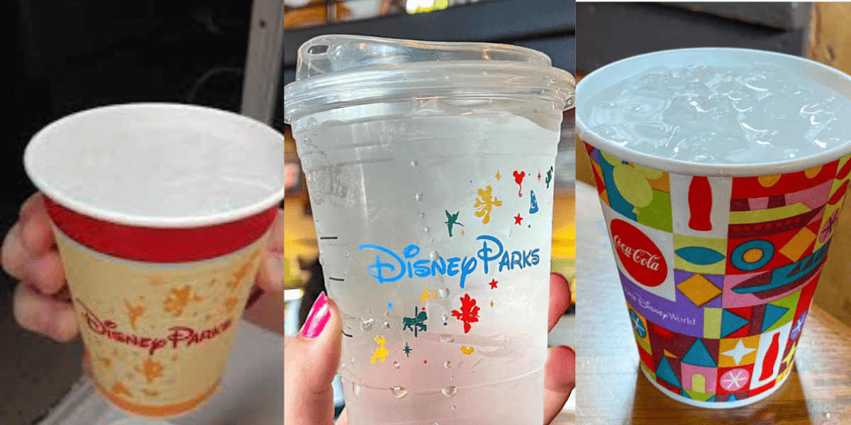 Three cups of ice water from locations throughout Walt Disney World Resort. 