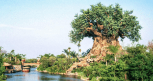 Tree of Life at Animal Kingdom