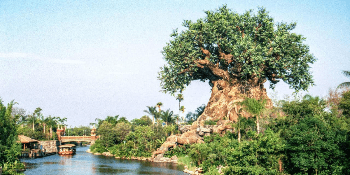 Tree of Life at Animal Kingdom