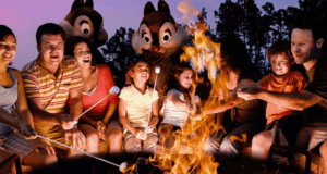 Chip 'n' Dale Campfire