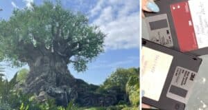 animal kingdom tree life floppy disks