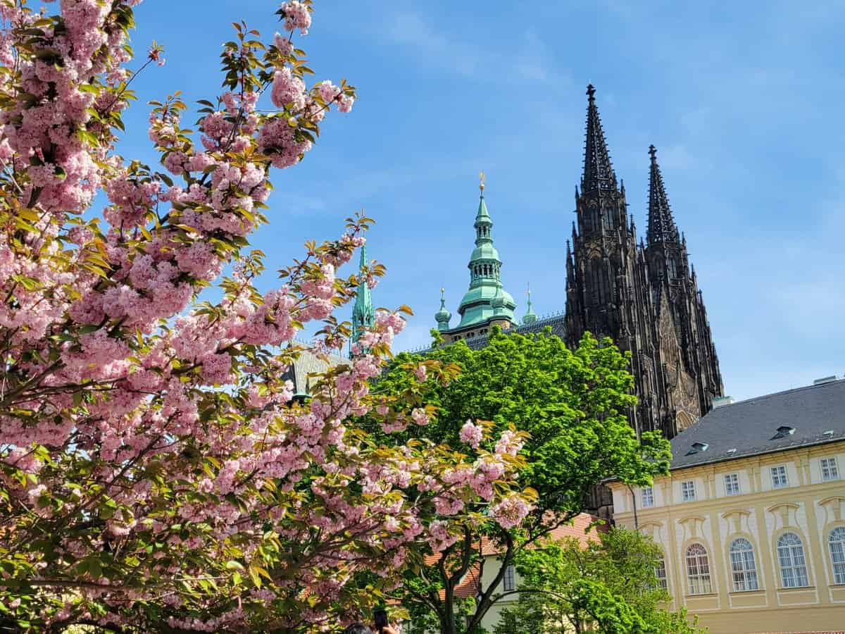 church cathedral prague czech